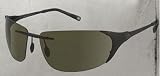 Gargoyles Diffuser Sunglasses by
