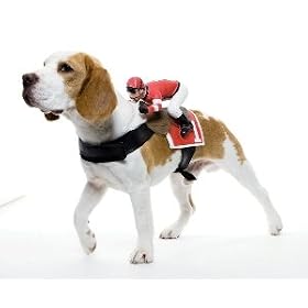 Dog Riders - Jockey Pet Halloween Costume O/S (B601)