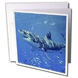 Kike Calvo Shark - Great White Shark - Greeting Cards-6 Greeting Cards with envelopes