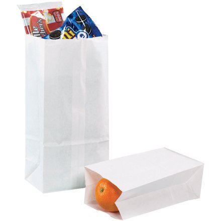 DURO BAG MANUFACTURING CO. GW8500 Kraft Paper Bags 6 1/8 X 4 1/6 X 12 7/16 White 500/carton