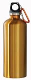  : New Wave Enviro Tinted Stainless Steel Water Bottle (0.6-Liter, Gold)