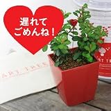 ���i�̏ڍ�