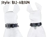 Black Dog/Pet Collar with Celestial (Sun, Moon, Star, Planet) Pendant and Matching Leash (Medium 13)