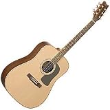 D10SDL Acoustic Guitar Natural