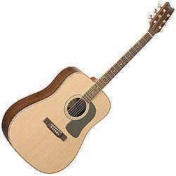 D10SDL Acoustic Guitar Natural