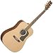 D10SDL Acoustic Guitar Natural