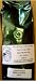 Café de Doña Ella - French Roast Gourmet Coffee Beans ~ Shade Grown ~ No Pesticides ~ Sustainable Agriculture ~ Water Process - 1lb