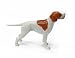 ENGLISH POINTER Dog LEMON Stands MINIATURE New Porcelain NORTHERN ROSE R264A