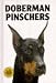 Doberman Pinschers