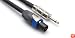 Hosa Cable STK400Q 14 Gg Speakon to 1/4 Inch Speaker Cable - 10 Foot