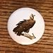 AFRICAN WILDLIFE SAFARI VULTURE DRAWER PULLS KNOBS