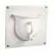 Teacup Wall Hook