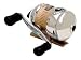 Sporting Goods : Zebco 11GOLD Gold Series Spincast Reel