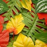 Artificial Leaves