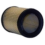 Wix 42036 Air Filter, Pack of 1 by Wix