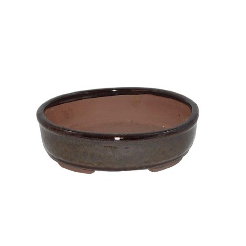 20cm Glazed Oval Bonsai Pot - Brown