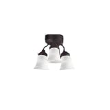 Hunter Three-Light Patio Fan Light Kit with Swirled Marble Glass Globes, New Bronze #28494
