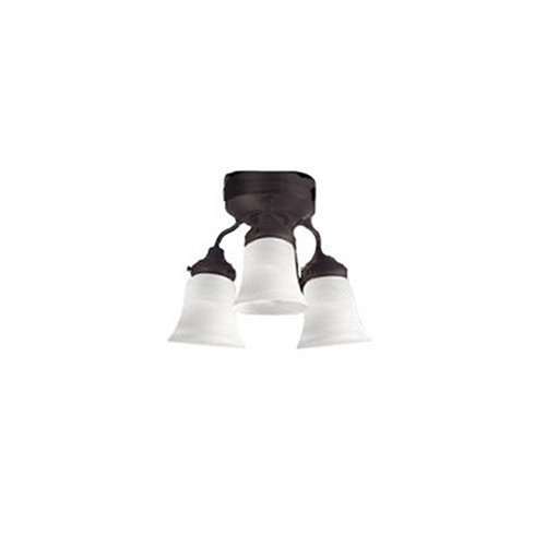 Hunter 28494 Three-Light Patio Fan Light Kit with Swirled Marble Glass Globes, New Bronze