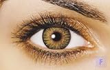 Freshlook Colorblends Pure Hazel Non prescription
