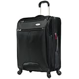 31c5%2BkSDiWL. SL160  Luggage