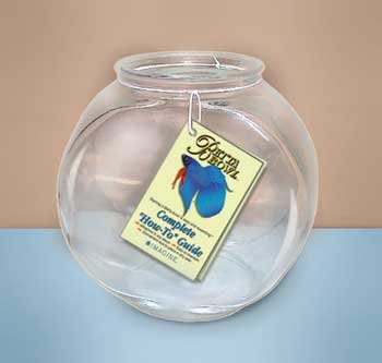 6PK Glass Drum Bowl 1 Quart (Catalog Category: 