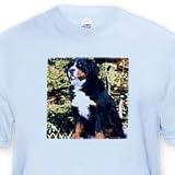 Bernese Mountain Dog - Light Blue Infant Lap-Shoulder Tee (24M)