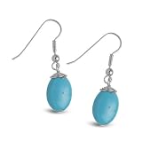 Search : Truly Traditional Turquoise Earrings
