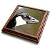 Canada Goose - Bird Photography - 8x8 Trivet With 6x6 Ceramic Tile