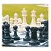 Pressman Giant Garden Chess Set