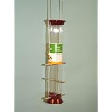 Droll Yankees, Inc Sunflower Feeder Burgundy Seed 15 in.