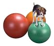 Set of 4 - Anti-Burst Therapy Balls - 55cm