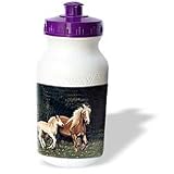 Horse - Palomino Pony - Water Bottles