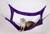 Ferret Deluxe Hammock Asst