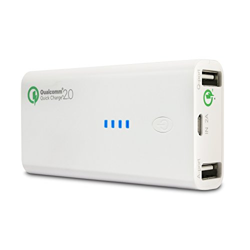 APE Quick Charge 2.0 Dual Port Power Bank Portable External Battery for Galaxy S6, S6 Edge, Note 5, Note 4 LG G4, Asus Zenfone 2, HTC One M9, M8, Nexus 6, Moto X 2014 (1-Pack)