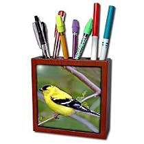 Birds - American Gold Finch - Tile Pen Holders-5 inch tile pen holder