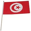 Tunisia Flag 12 x 18 inch