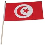 Tunisia Flag 12 x 18 inch