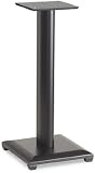 Review Sanus NF24b / Sanus Systems NF 24 Natural Foundations (Black)
