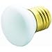 Westinghouse Lighting 03623 Reflector Bulb