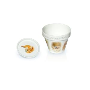 Jemima Puddleduck Flower Pot