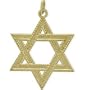 14 Karat Yellow Gold Large Star of David Pendant