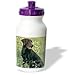 Dogs Labrador Retriever - Chocolate Labrador Retriever - Water Bottles