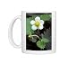 Photo Mugs of Wild Strawberry from Ardea Wildlife Pets