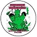 PETER AND THE TEST TUBE BABIES - South American Frogs - Button / Pin