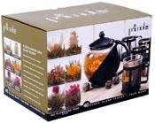 Primula Black & Glass Flowering Teapot & Cup Set with Tea