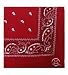 Print Bandanas Color: Purple