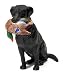 Hunter Dan Black Lab with Mallard Figure Toy Image