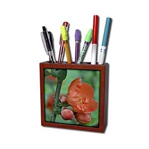 WhiteOak Photography Floral Prints - Light orange flowering bush - Tile Pen Holders-5 inch tile pen holder