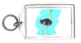 Keychain with ostrich, flightless, bird