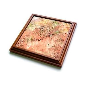 Peachy Pink Batik Leaf Flower Print - 8x8 Trivet With 6x6 Ceramic Tile by 